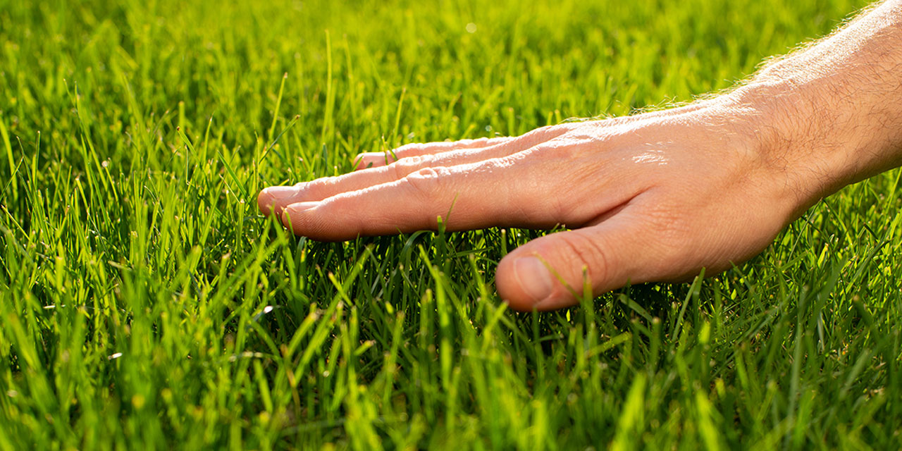 Touching grass